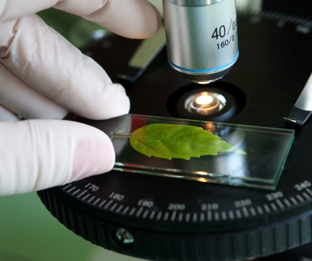 Biotechnology