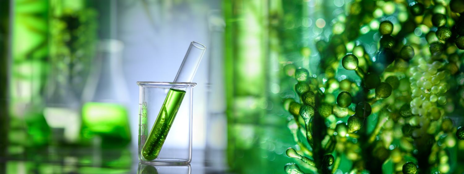 BioTech