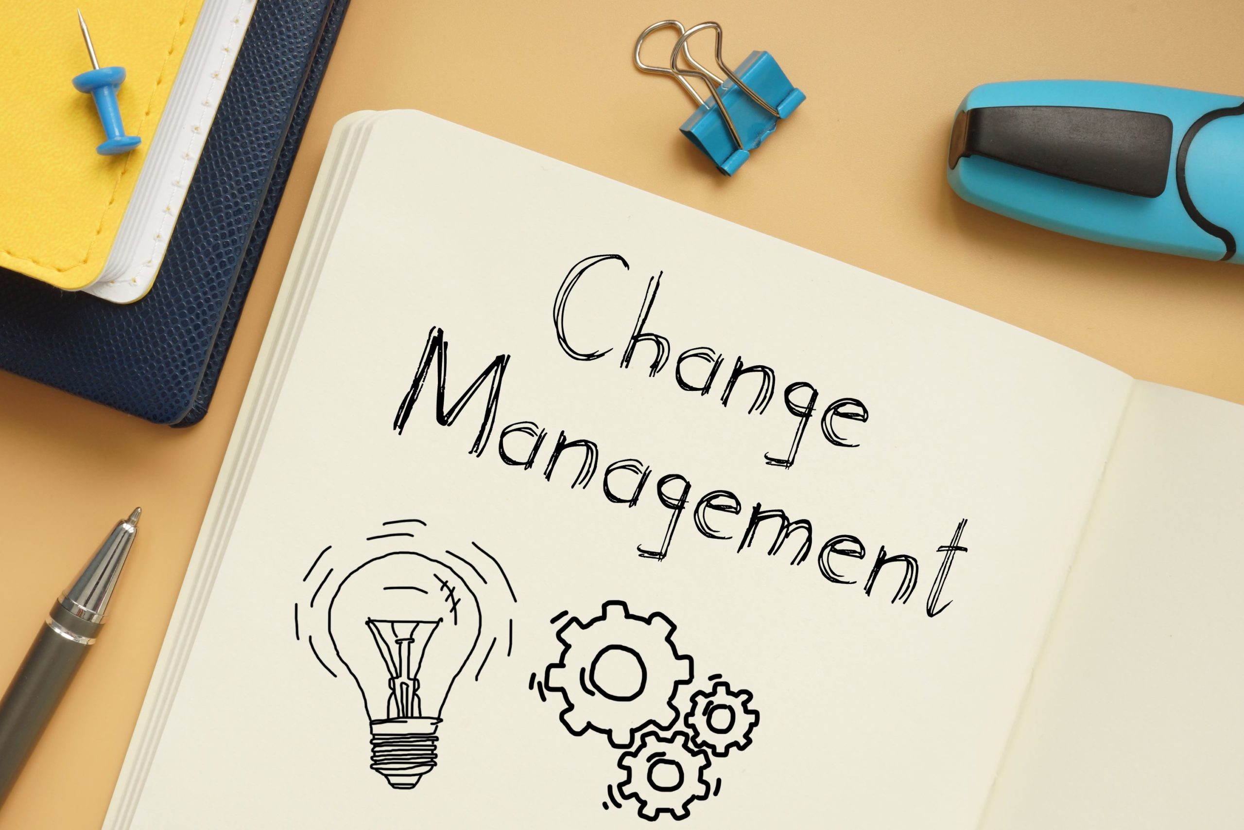 Change Management Polish Salesforce